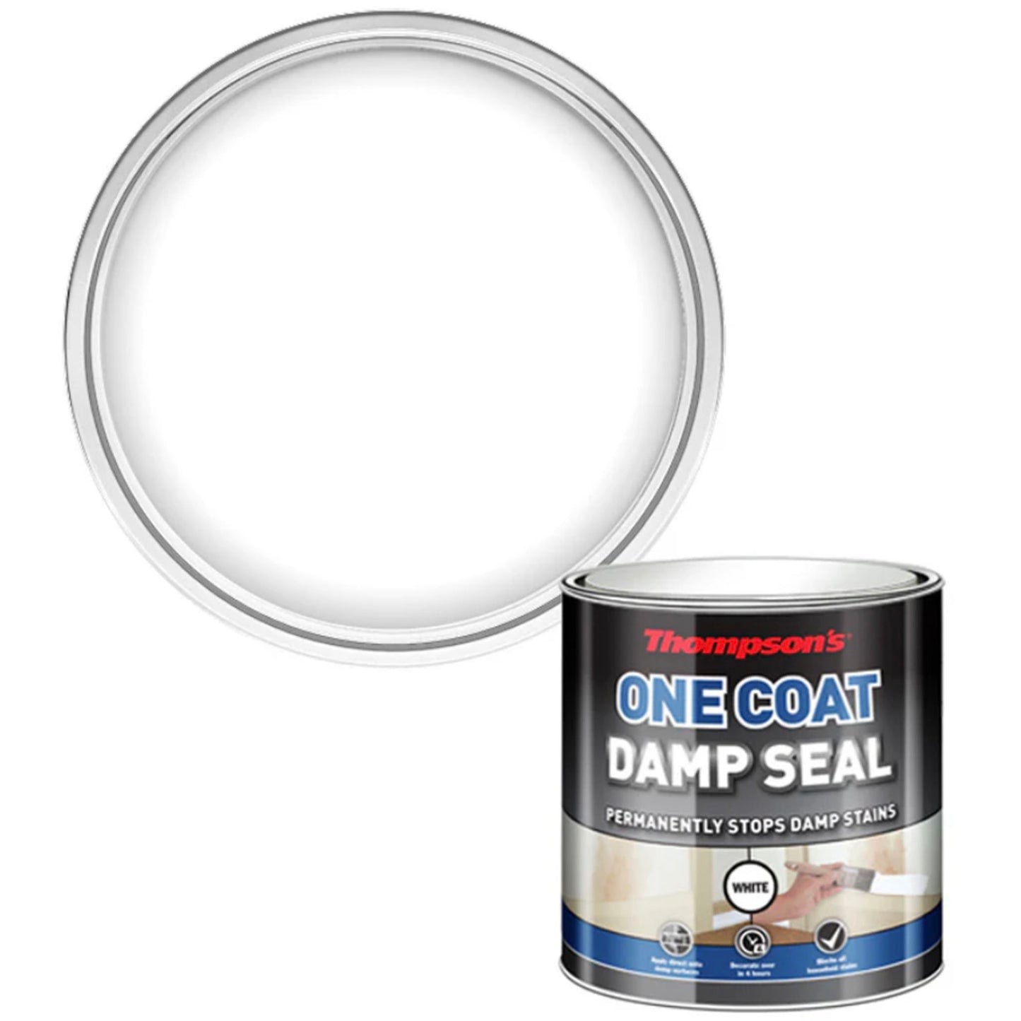 Thompsons One Coat Damp Seal