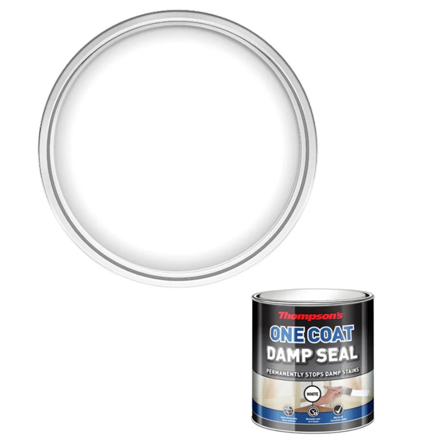 Thompsons One Coat Damp Seal