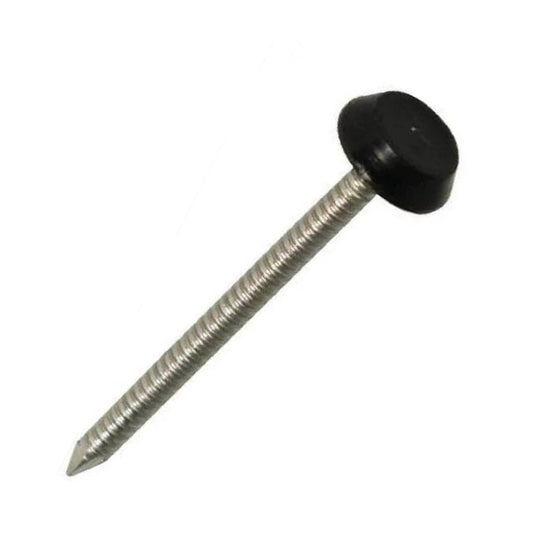 Black Polytops Stainless Pins 40mm - 250 Box - Transtools Online