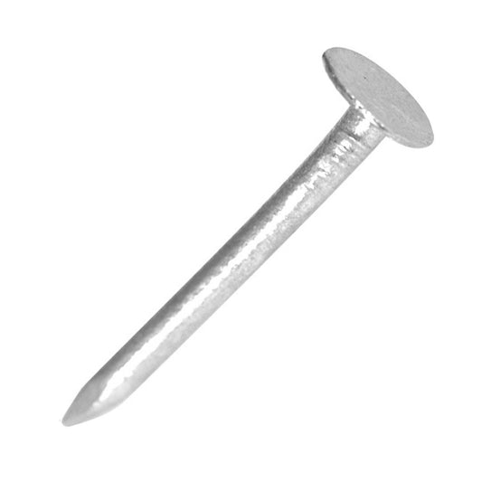 Clout Nails Galvanised Extra Large Head 50mm - 1kg - Transtools Online