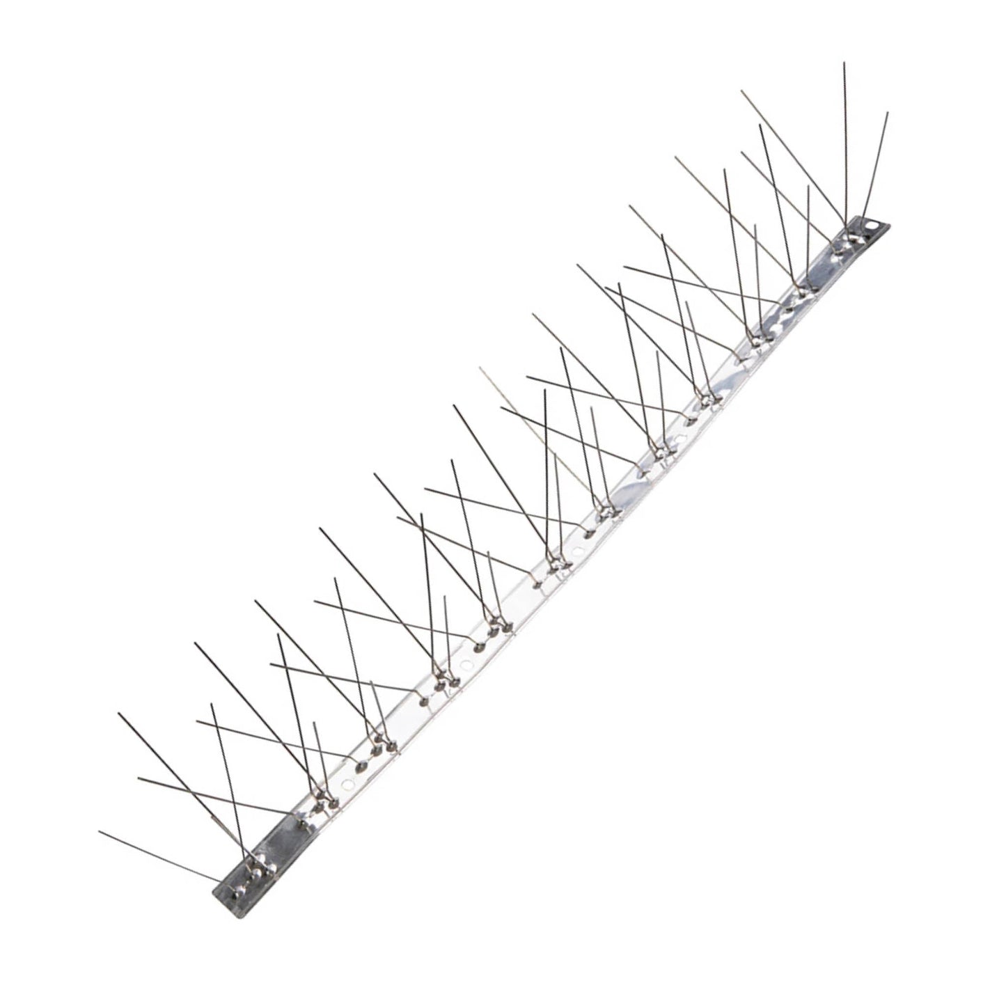 Fixman Stainless Bird Spikes 4 Spike 500mm - Single - Transtools Online