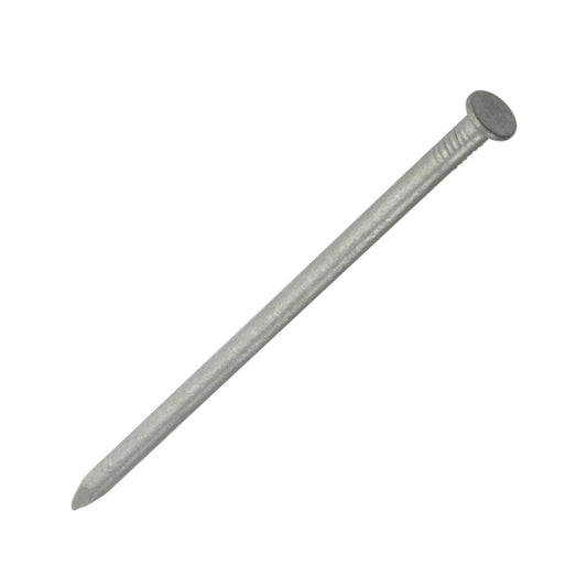 Round Head Nails Galvanised 40mm - 1kg - Transtools Online