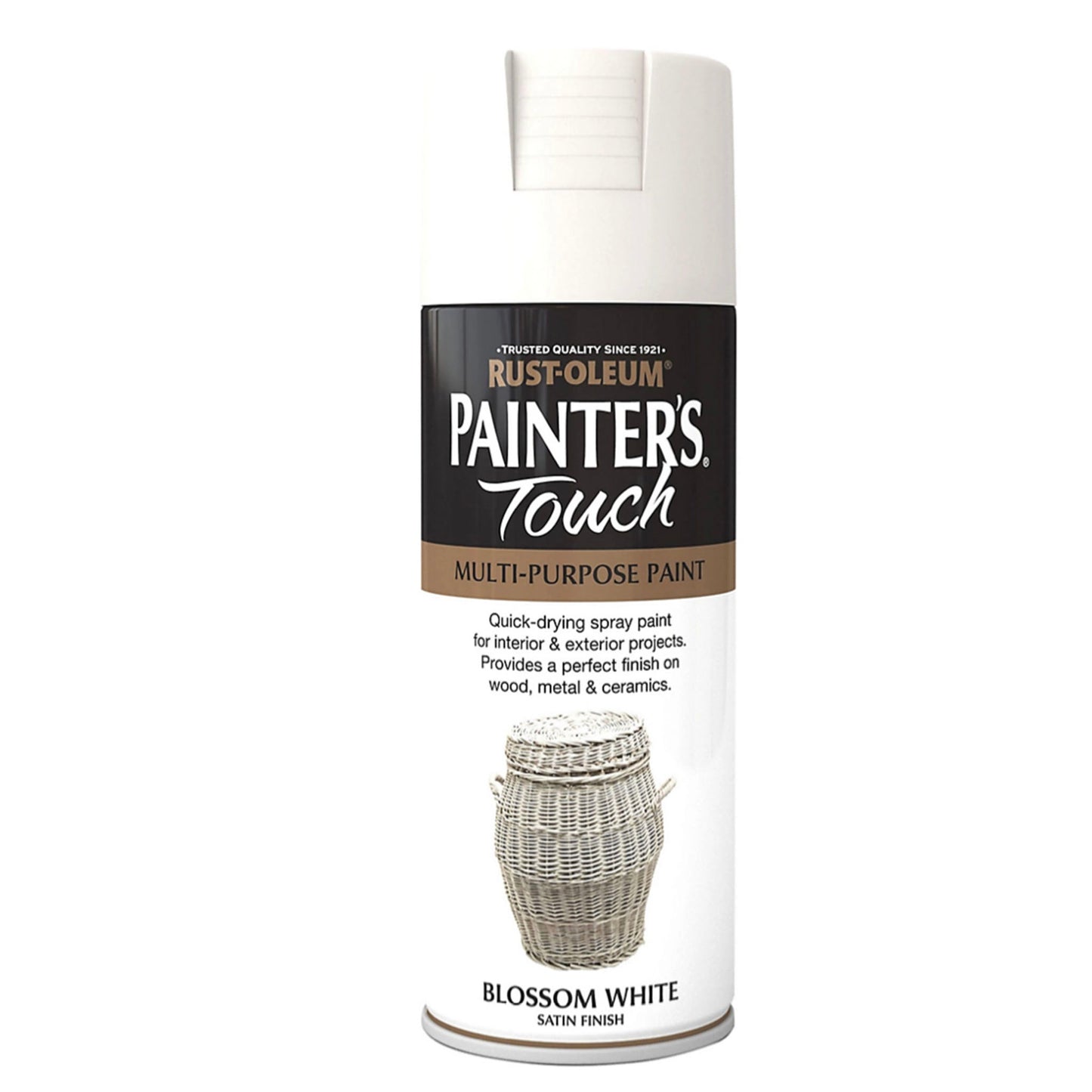 Rust-Oleum Painters Touch Multi-Purpose Spray Paint Blossom White - 400ml