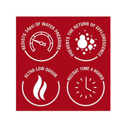 Zinsser Watertite Basement Waterproof Paint 5 Litre