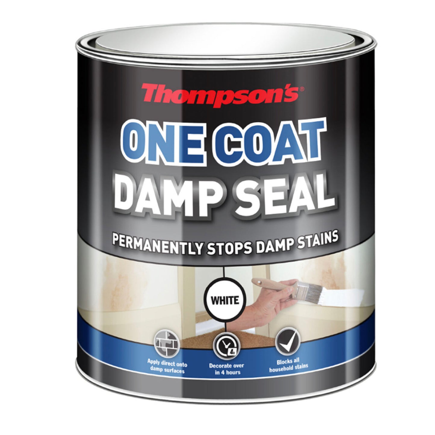 Thompsons One Coat Damp Seal White Paint - 750ml