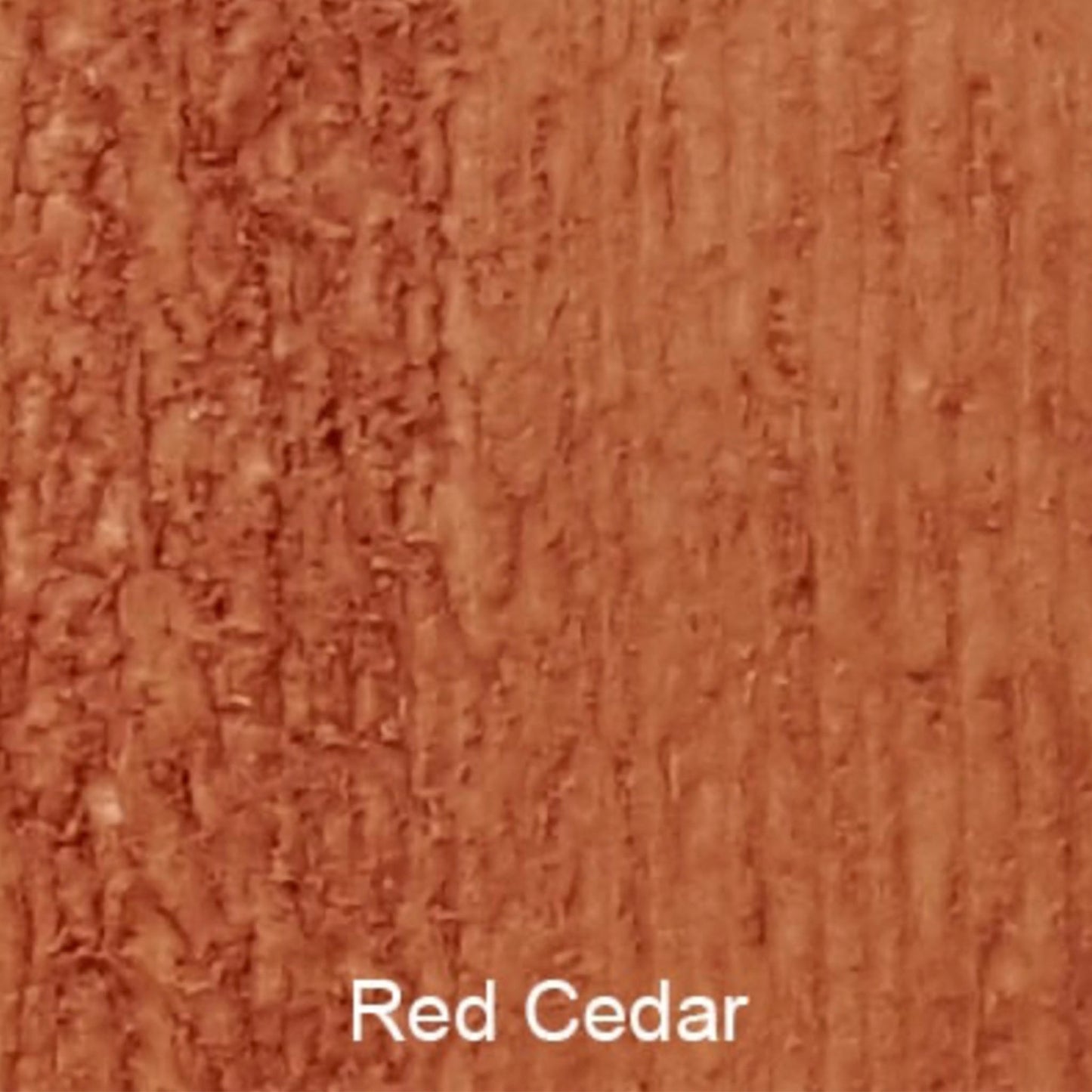 Bird Brand Complete Wood Preserver