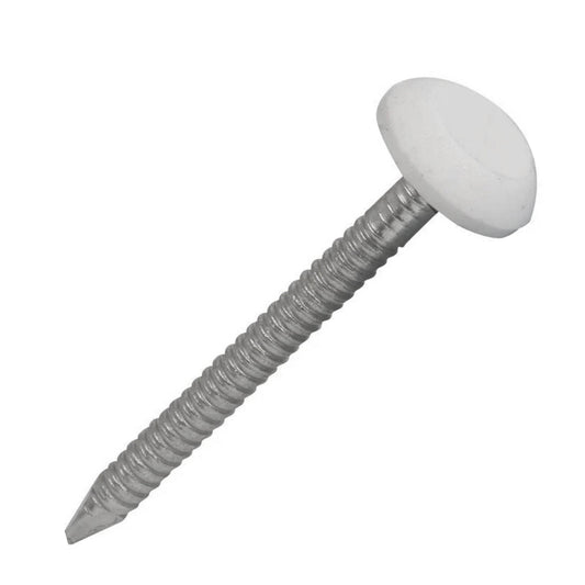 White Headed Polytops Stainless Nails 50mm - 100 Box