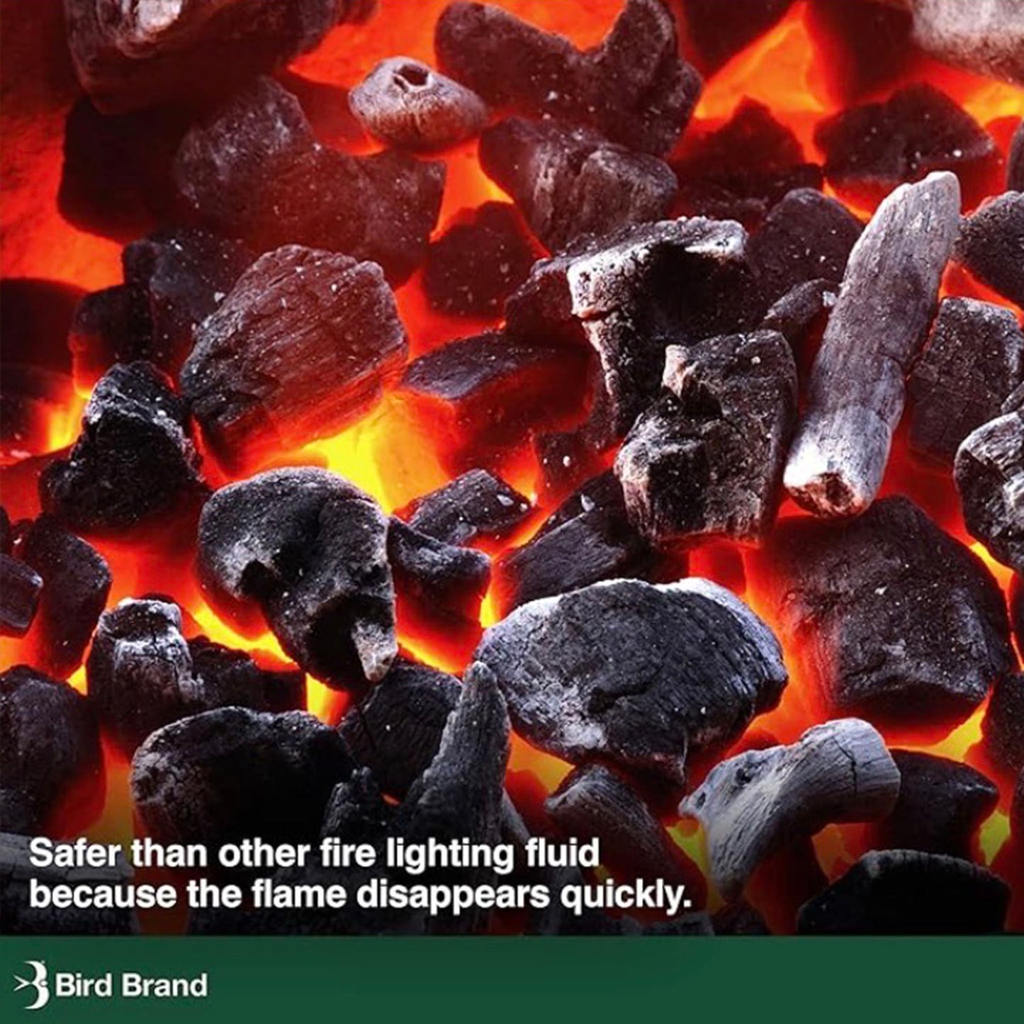 Bird Brand BBQ Lighter Fluid - Safer Than Other Lighting Fluid as the Flames Disappear More Quickly