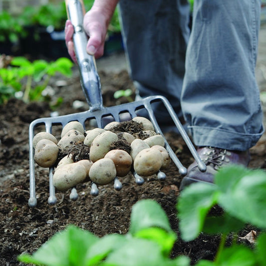 Bulldog Premier Potato Fork 30in - 9 Prong