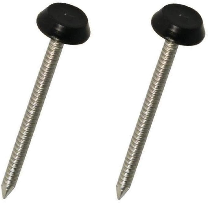 BLACK POLYTOPS STAINLESS NAILS 65MM - 100 BOX - Transtools Online