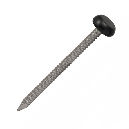 Black UPVC Polytop Stainless Steel Fascia Nails - 100 Pack 50mm