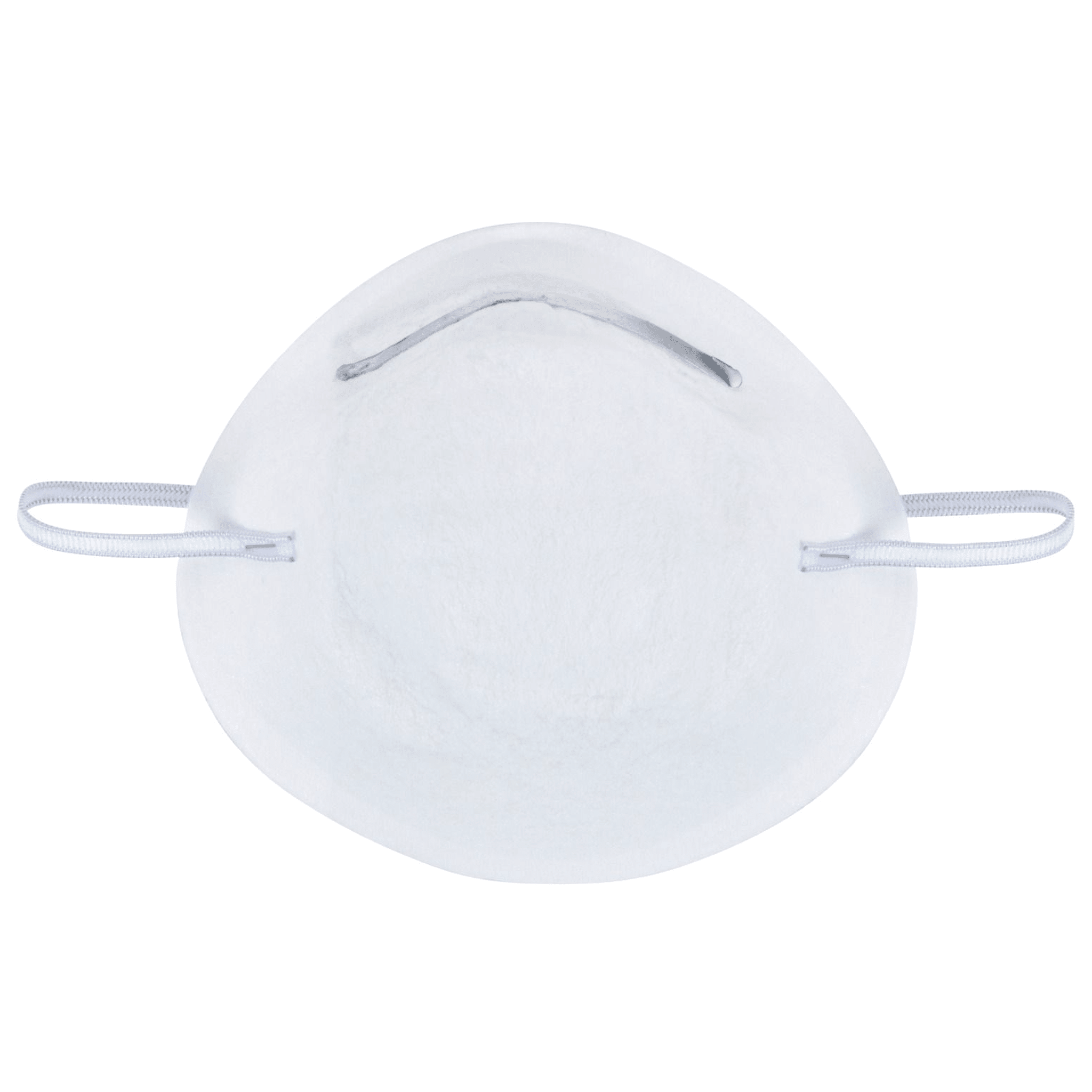 Blue Spot Nuisance Dust Mask - 15 Pack