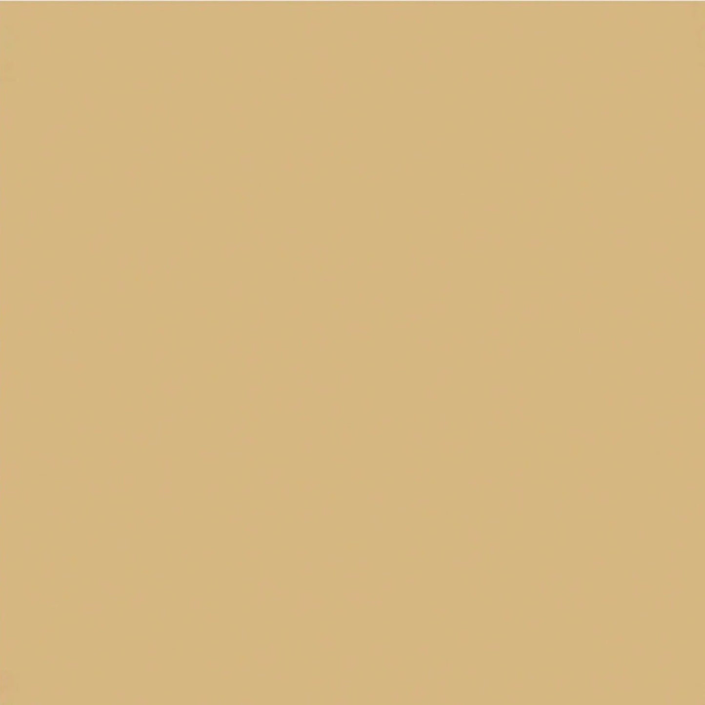 Bond-It WP100 LMN Silicone Neutral Cure Sealant Buff.