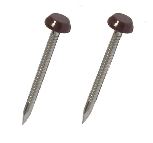 BROWN POLYTOPS STAINLESS PINS 40MM - 250 BOX - Transtools Online