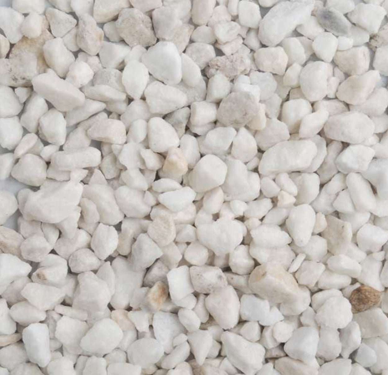 CHAS LONG POLAR WHITE MARBLE CHIPPINGS - 25KG - Transtools Online