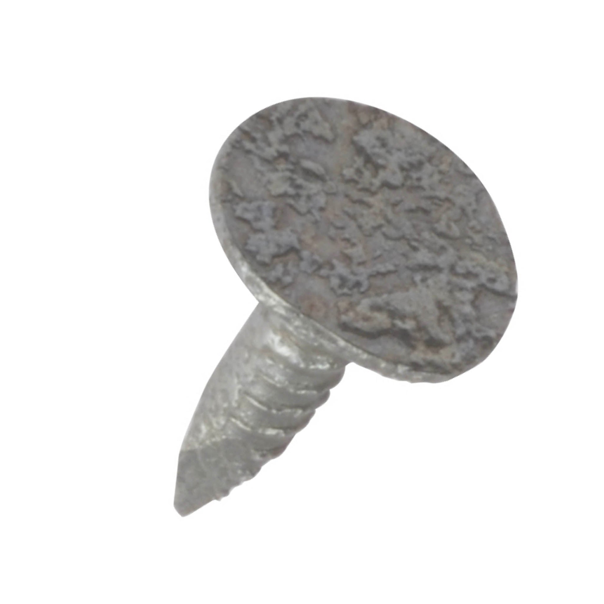 Felt Clout Nails Galvanised 20mm - 500gm - Transtools Online