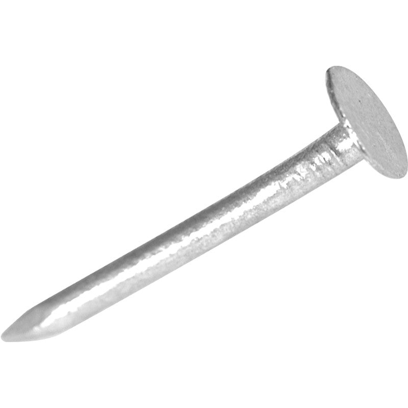 FORGEFIX CLOUT NAILS GALVANISED EXTRA LARGE HEAD 30MM - 1KG - Transtools Online