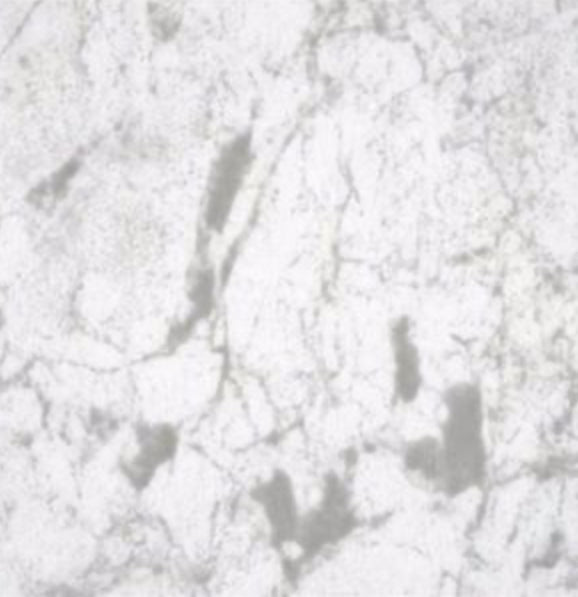 GEOPANEL 10MM PVC WIDE PANEL WHITE MARBLE - 1 METRE X 2.4 METRE - Transtools Online