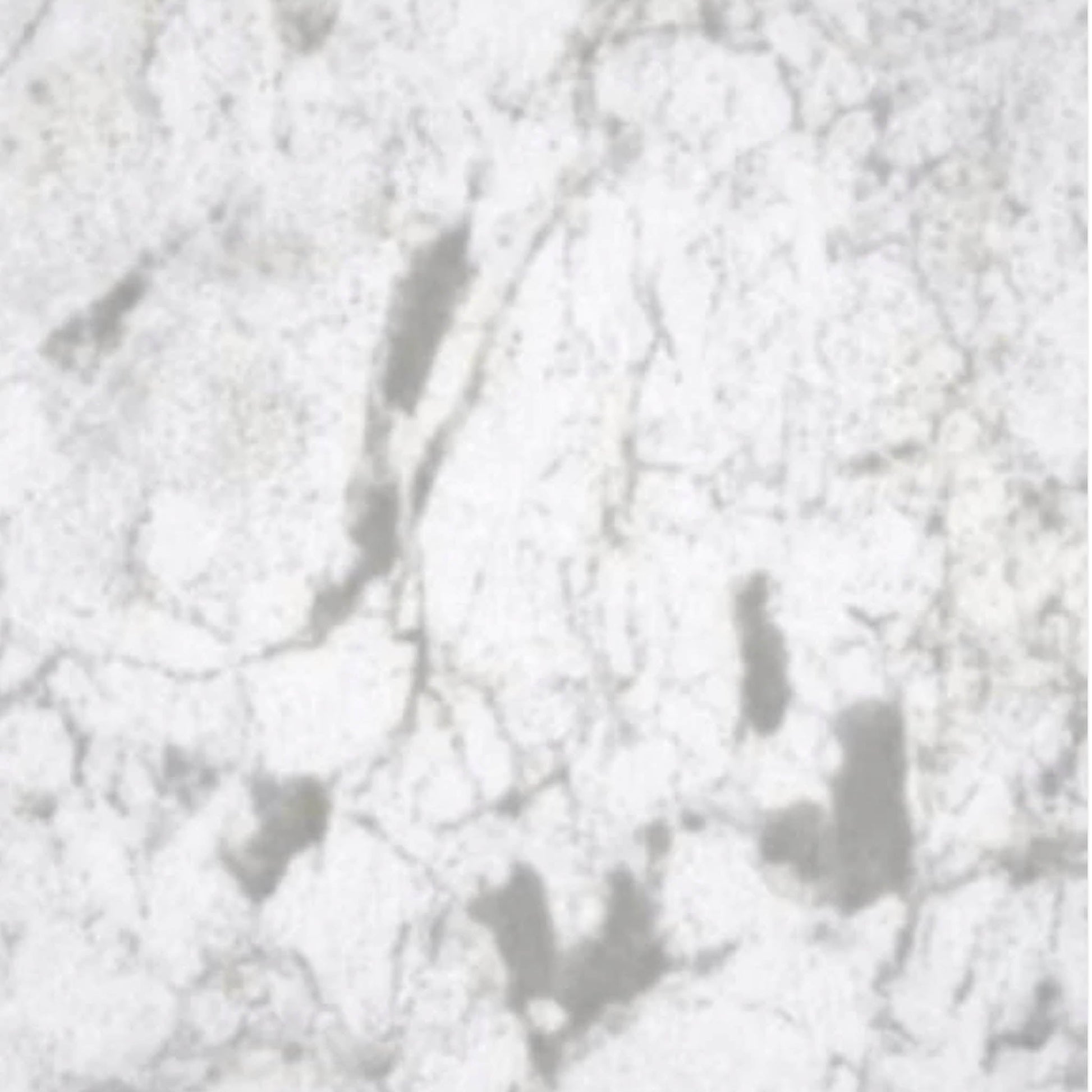 Shower and Bathroom Panel 10mm PVC White Marble 1 Metre x 2.4 Metre - Transtools Online