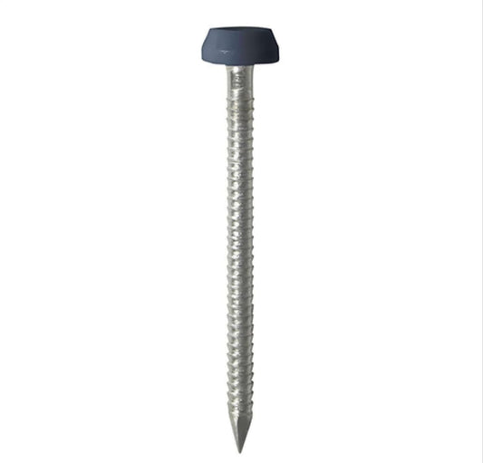 STAINLESS POLYTOP NAILS ANTHRACITE GREY 65MM - 100 PACK - Transtools Online