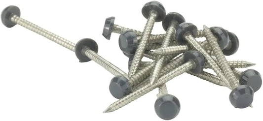 STAINLESS POLYTOP PINS ANTHRACITE GREY 40MM - 200 BOX - Transtools Online