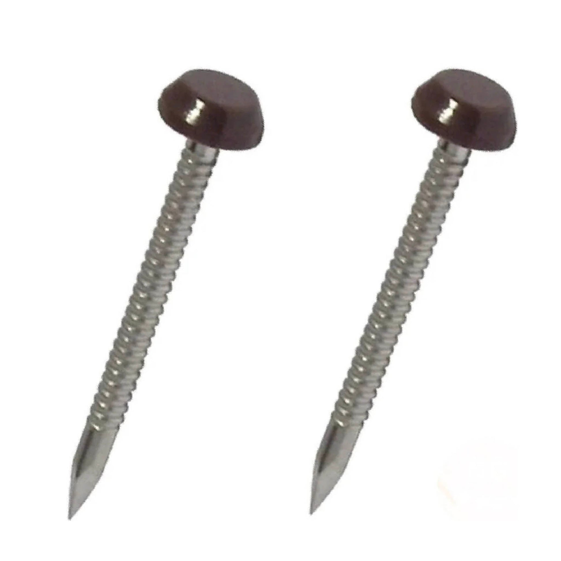 STAINLESS POLYTOP PINS CHOCOLATE BROWN 40MM - 250MM BOX - Transtools Online