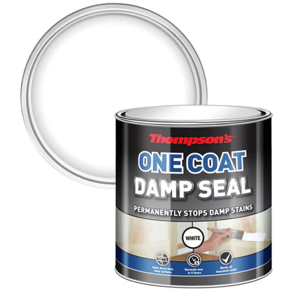Thompsons One Coat Damp Seal