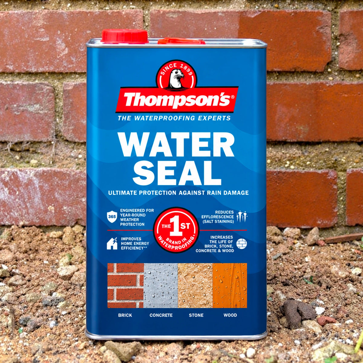 Thompsons Water Seal - 5 Litre.