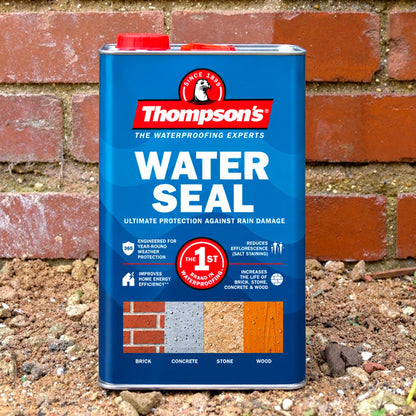 Thompsons Water Seal - 5 Litre.